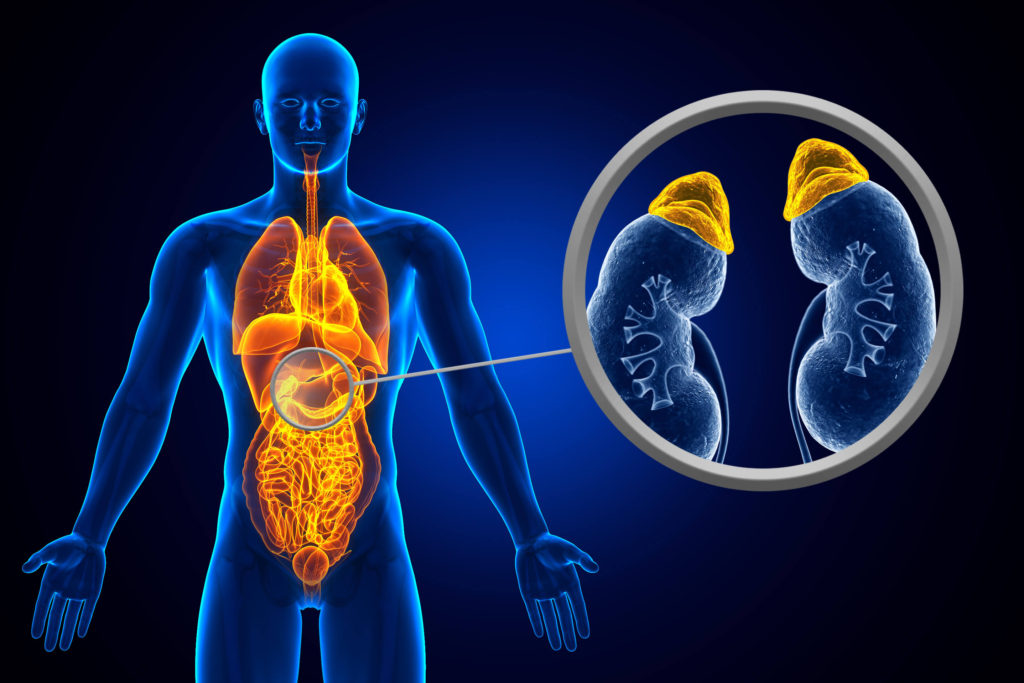 Adrenal Surgery
