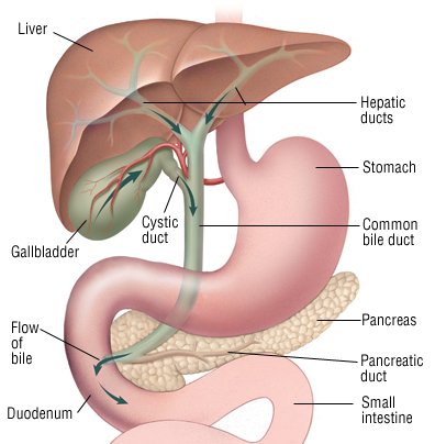 Gallbladder surgery
